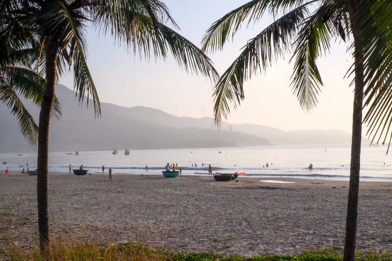 Home Experience the tranquil beauty of Da Nangs coastline, with palm trees framing a serene beach scene.